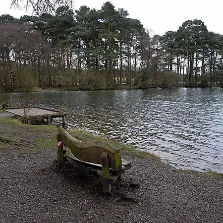 - Sleeps 3 Hot Tub & Pet Friendly Tatil Evi Brampton (Cumbria)